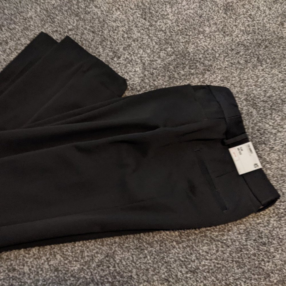 Express Columnist Pants